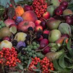 Frutta autunnale fresca, come mele e pere, ideale per depurare il fegato.